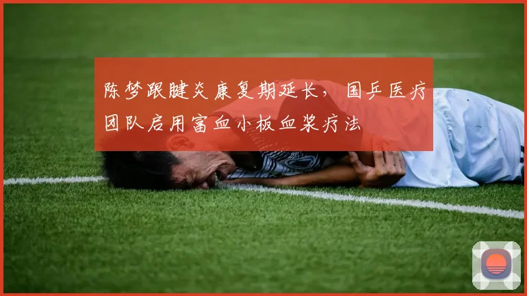 陈梦跟腱炎康复期延长,国乒医疗团队启用富血小板血浆疗法